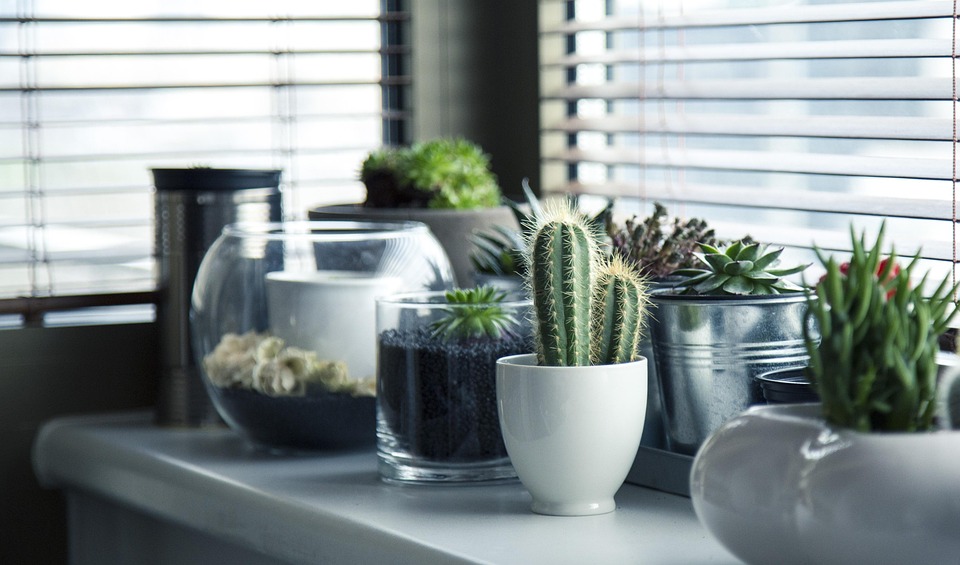 home gardening for beginners
