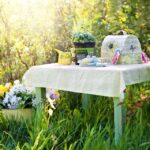vegetable gardening tools