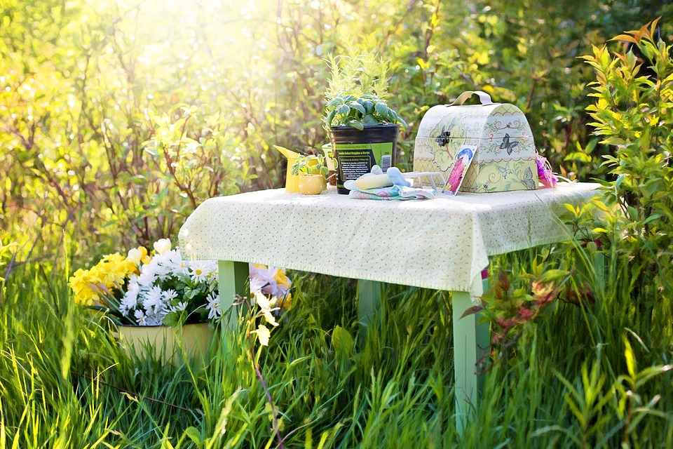 vegetable gardening tools