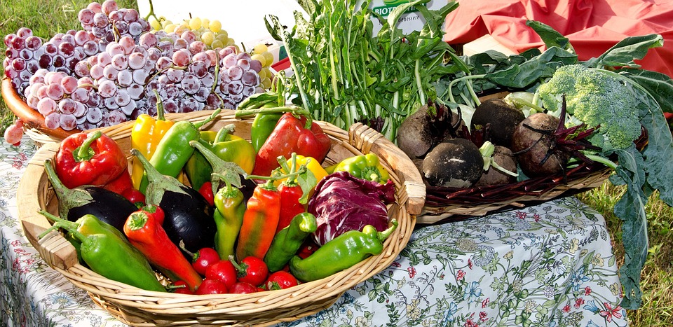vegetable garden ideas