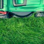 vegetable garden maintenance
