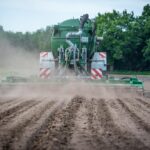 plant fertilization schedule