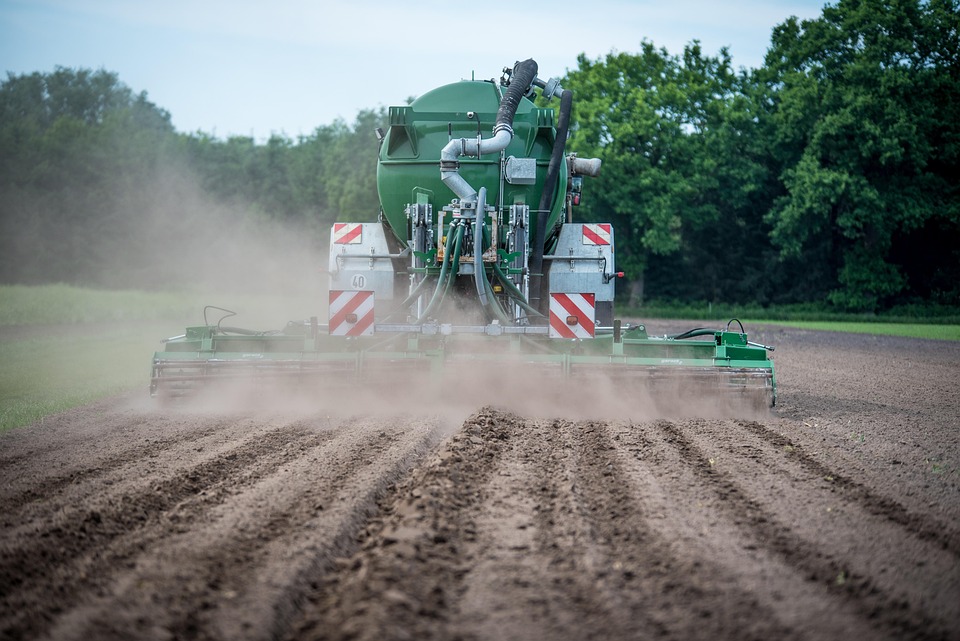 plant fertilization schedule