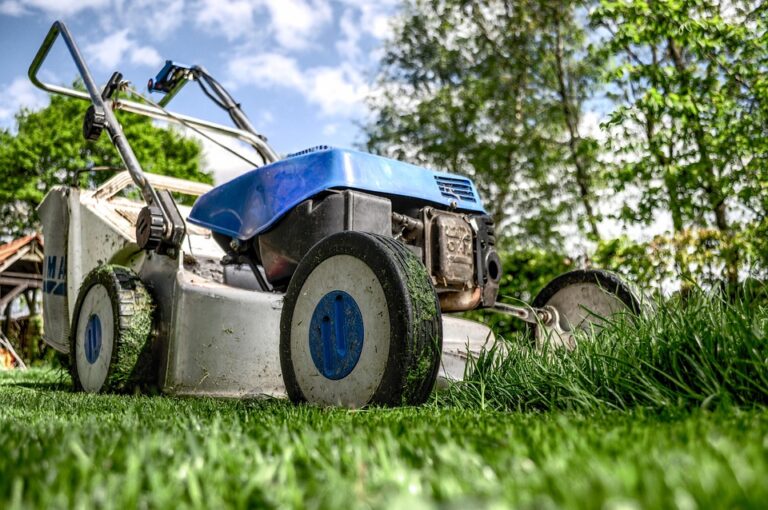 best garden tools