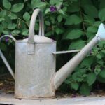 garden watering tools