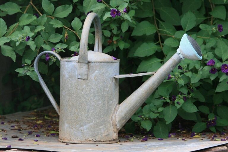 garden watering tools