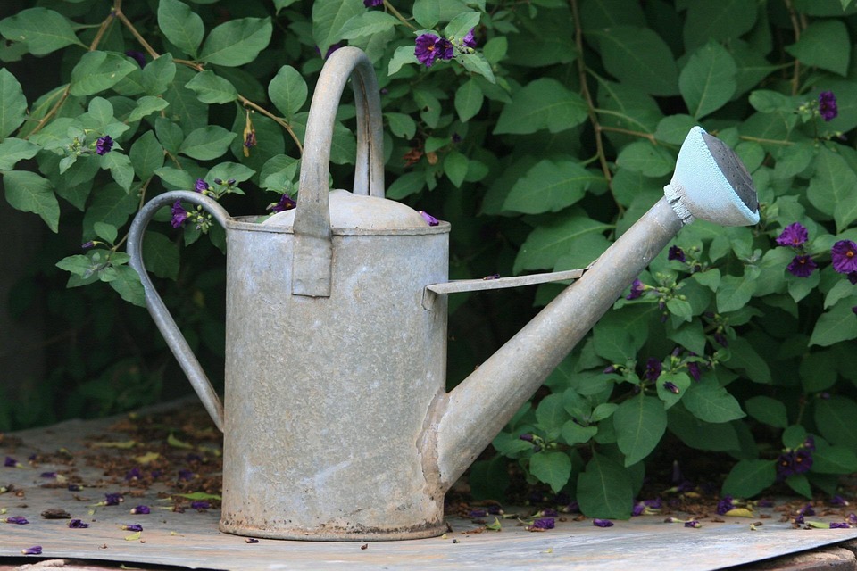 garden watering tools