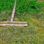 lawn and garden tools