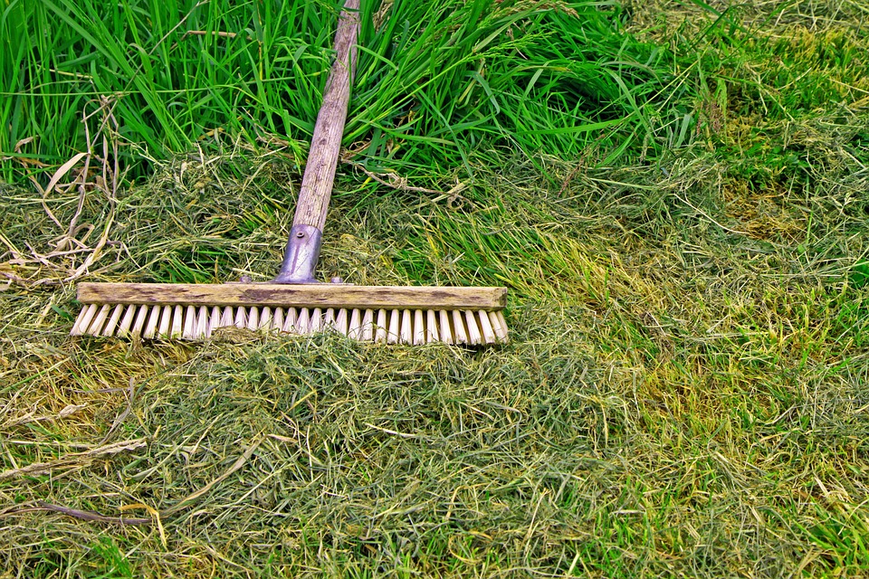 lawn and garden tools