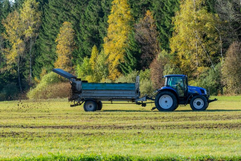 plant fertilizing tips