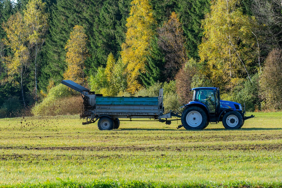 plant fertilizing tips