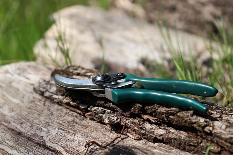 plant pruning guide