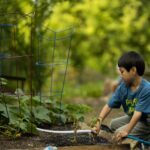 child-7338083_1280