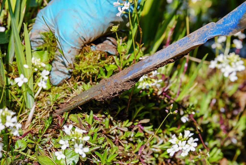gardening-3296781_1280