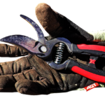 gardening-3622863_1280