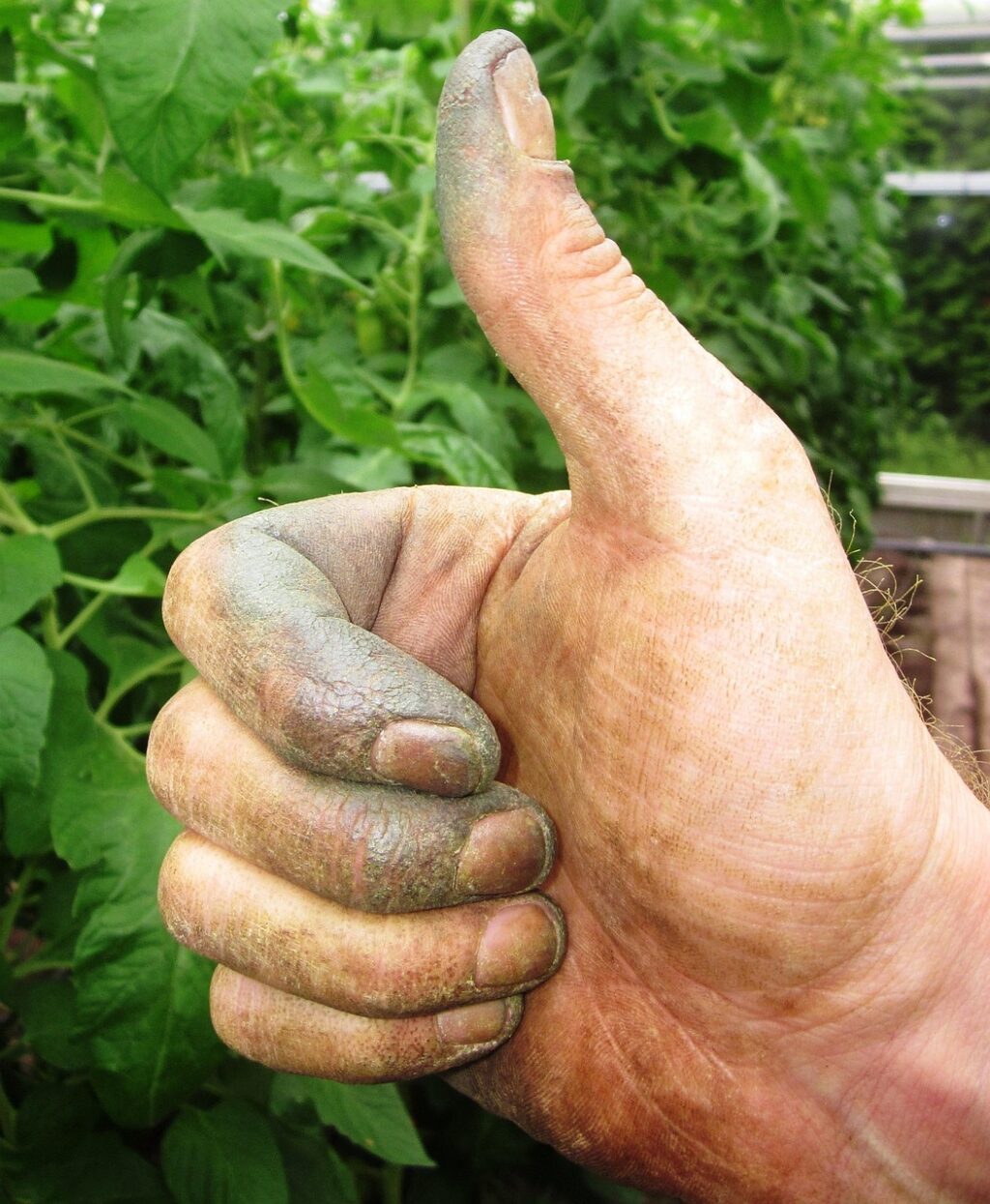 thumb-1078178_1280