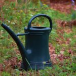watering-can-5764764_1280